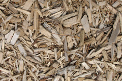 biomass boilers Titton